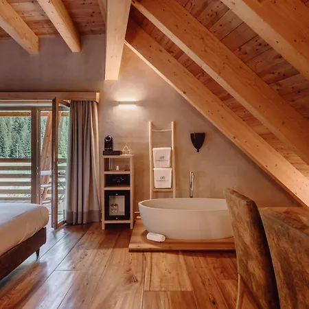 ホテル Au Petit - Ecohotel Parc & シャンポルク