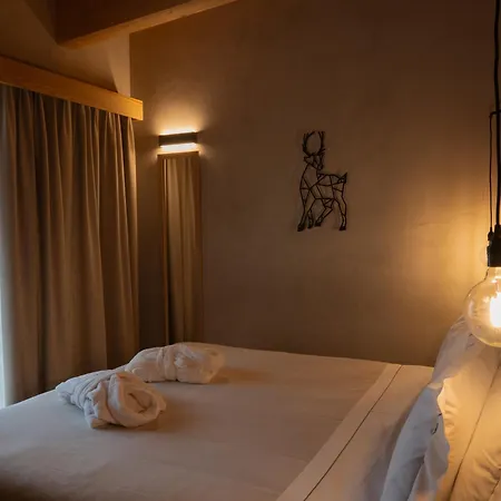 Au Petit - Ecohotel Parc & 5*